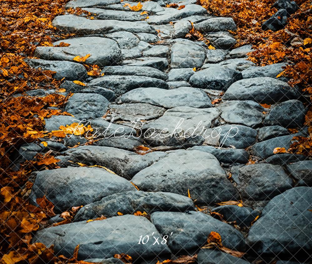 Kate Fall Cobblestone Path Backdrop Designed by Emetselch