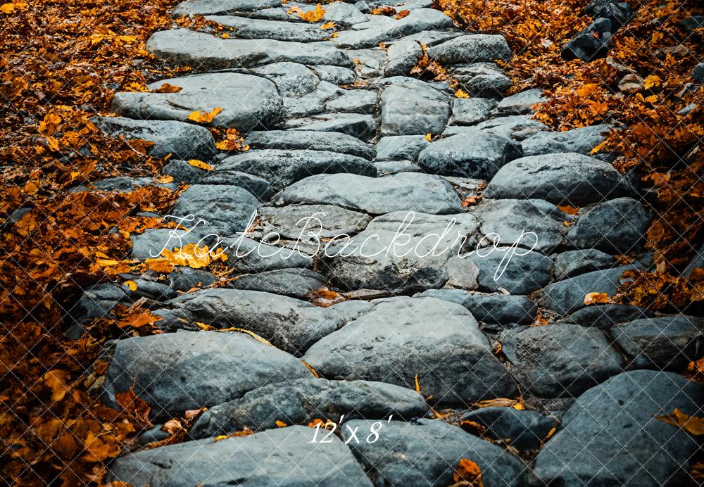 Kate Fall Cobblestone Path Backdrop Designed by Emetselch