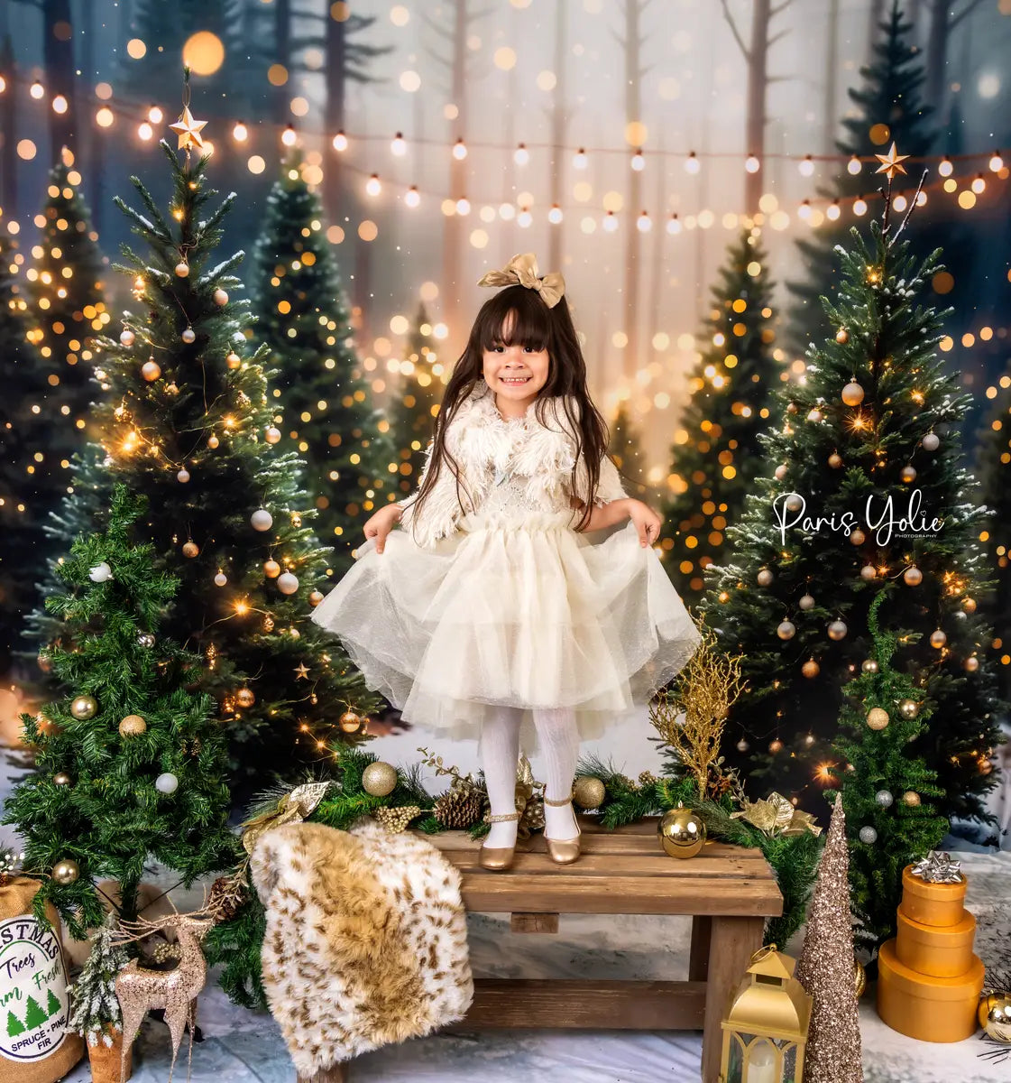 Kate Christmas Outdoor Forest Backdrop Designed by Emetselch