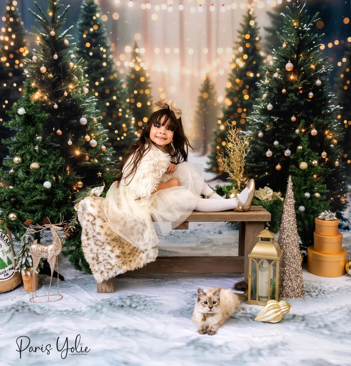 Kate Christmas Outdoor Forest Backdrop Designed by Emetselch