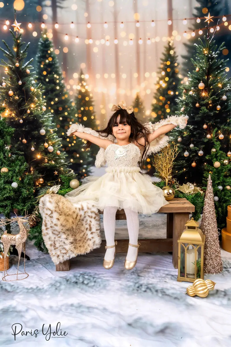 Kate Christmas Outdoor Forest Backdrop Designed by Emetselch