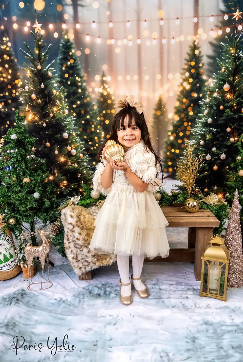 Kate Christmas Outdoor Forest Backdrop Designed by Emetselch