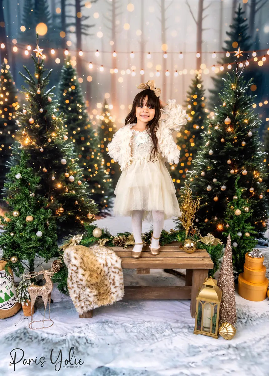 Kate Christmas Outdoor Forest Backdrop Designed by Emetselch