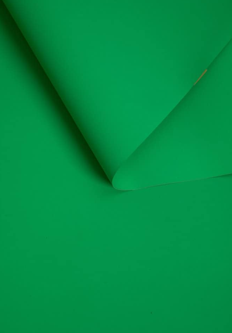 RTS Whiskey Green Seamless Paper Backdrop per Fotografia
