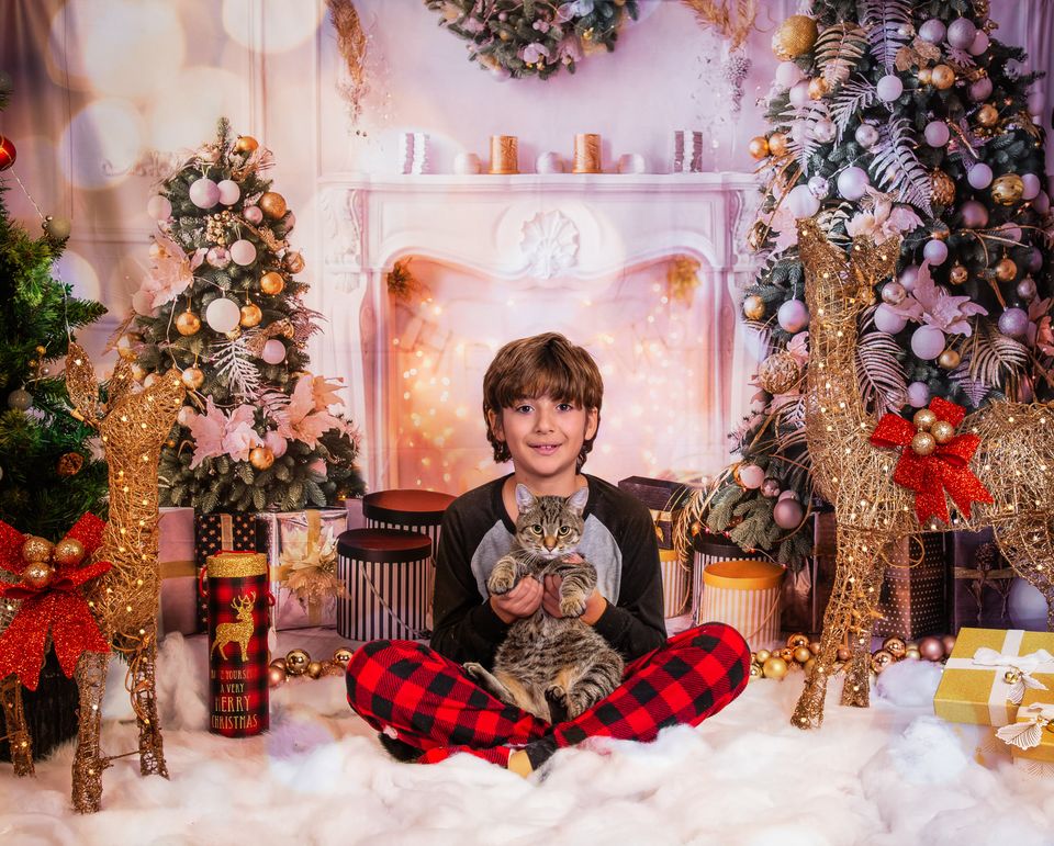 RTS Natale Sala Bianca Alberi Targhe Regali Decorazioni Sfondo per Fotografia