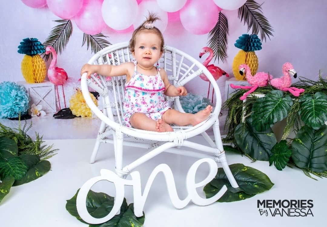 RTS Kate Balloons Flowers Flamingo Summer Backdrop for Photography Designed by Mandy Ringe Photography