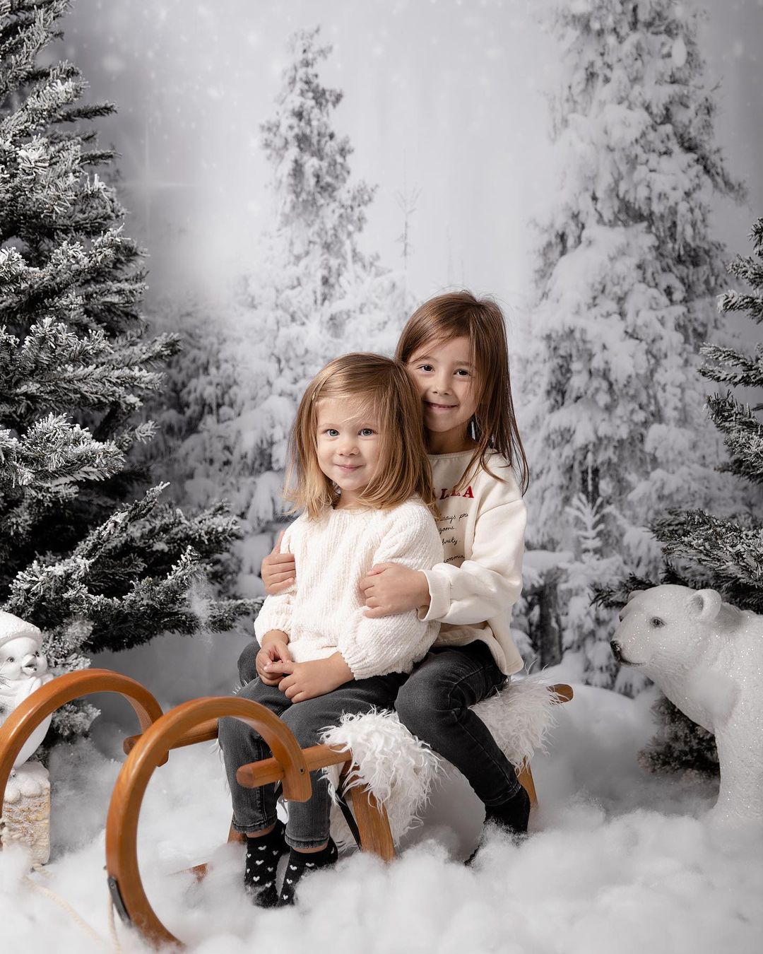 RTS Natale Invernale Wonderland con Sfondo Alberi per Fotografia