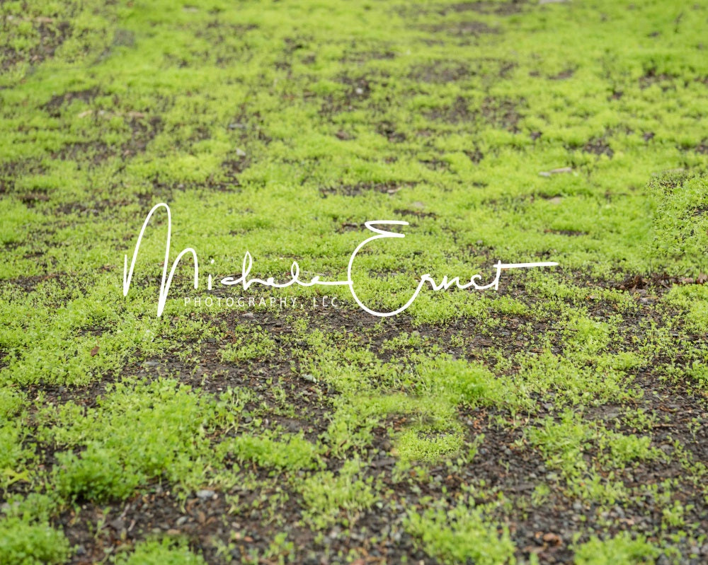 Kate Light Green Fairy Moss Garden Rubber Floor Mat Designed By Michele Ernst Photography