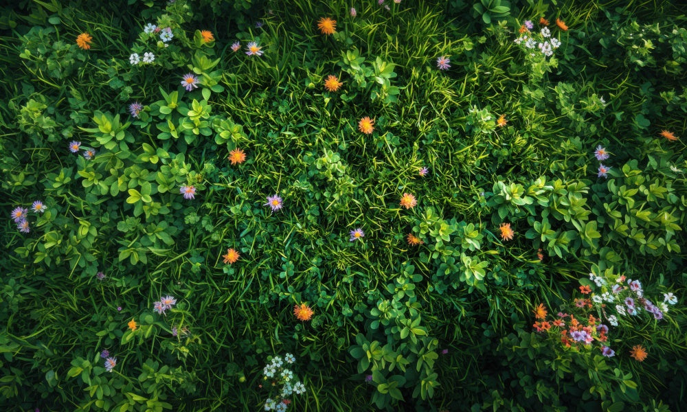 Spring Floral Greenery Grass Floor Foto Achtergrond Designed by Mini MakeBelieve