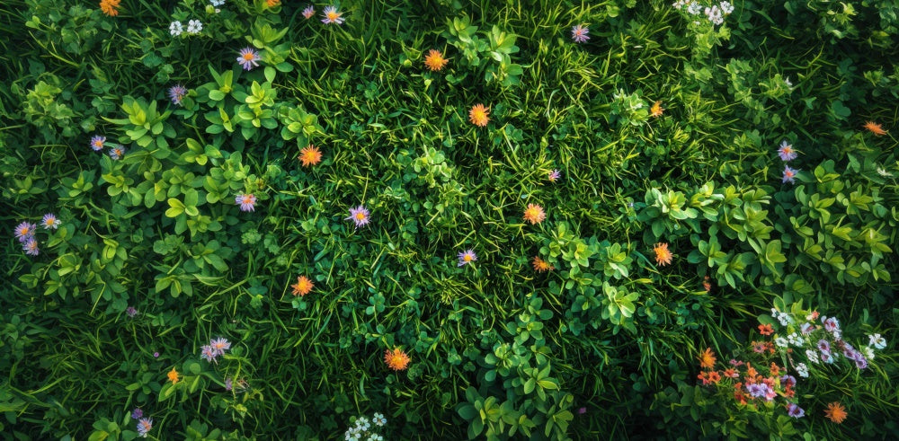 Spring Floral Greenery Grass Floor Foto Achtergrond Designed by Mini MakeBelieve