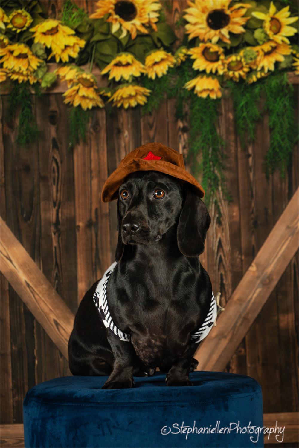 Kate Summer Sunflowers Wood Door Backdrop Designed by Emetselch