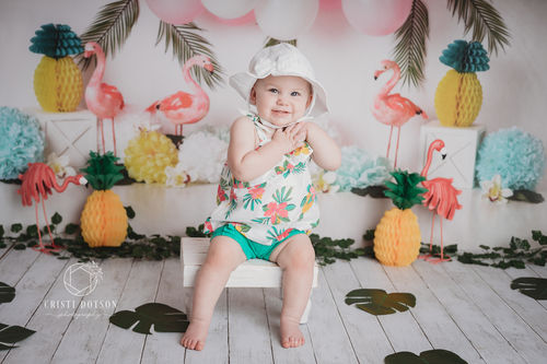 RTS Kate Balloons Flowers Flamingo Summer Backdrop for Photography Designed by Mandy Ringe Photography