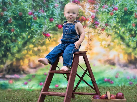 Appleboomgaard Zomer Achtergrond voor Fotografie Ontworpen door Lisa Granden