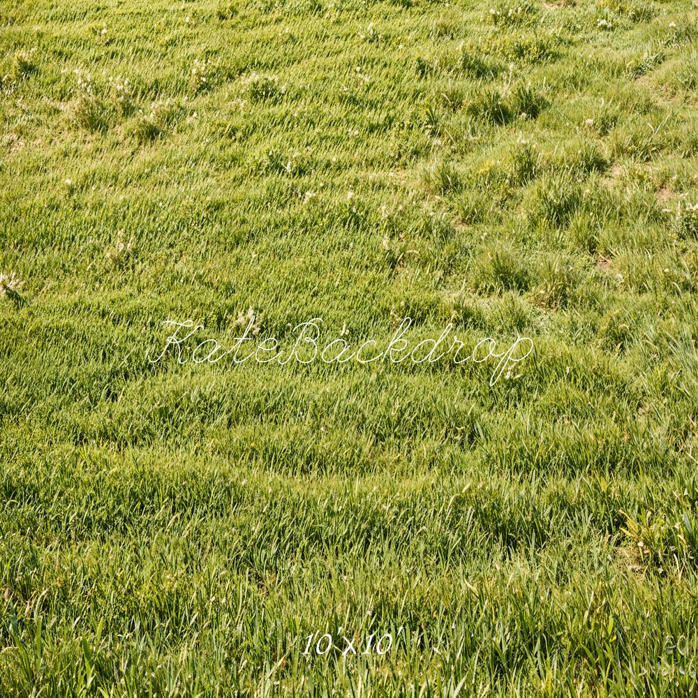 Kate Spring Green Grass Field Floor Backdrop Designed by Emetselch