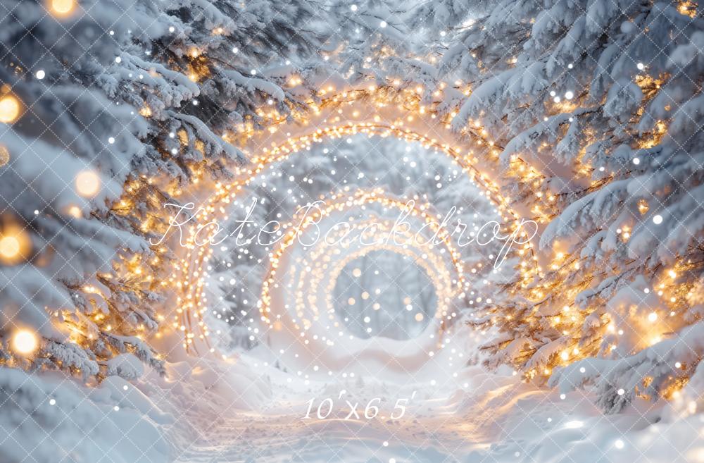 SALE Kate Winter Snow Wonderland Lights Tunnel Backdrop Designed by Emetselch