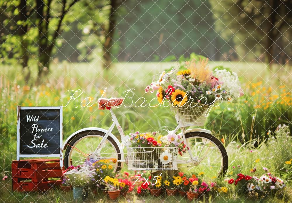 Bicicleta Con Flores Silvestres En Un Fondo De Pradera Soleada Diseñado por Patty Robert