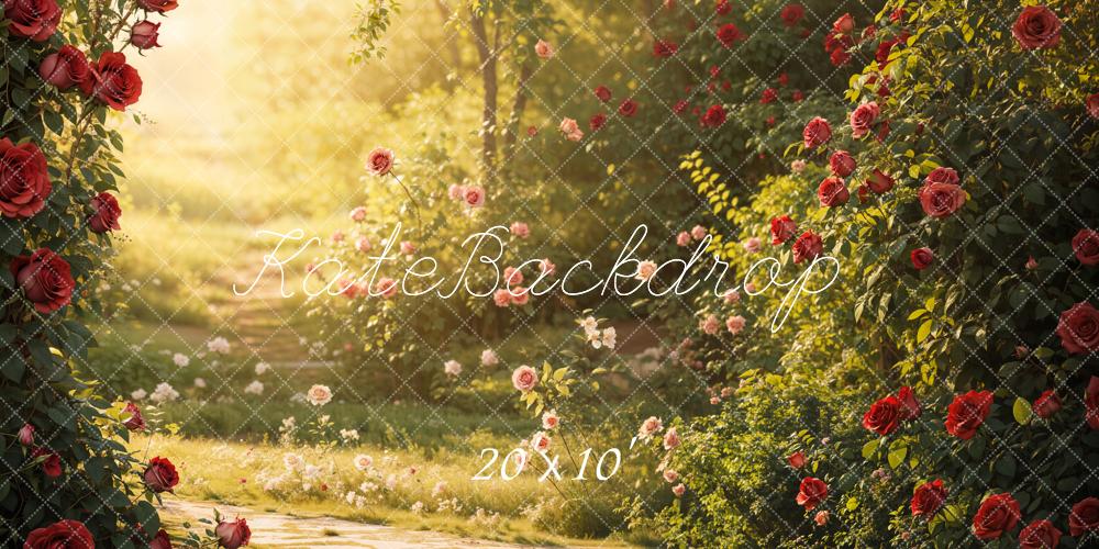 Valentine Garden Rose Sunlight Foto Achtergrond Designed by Emetselch