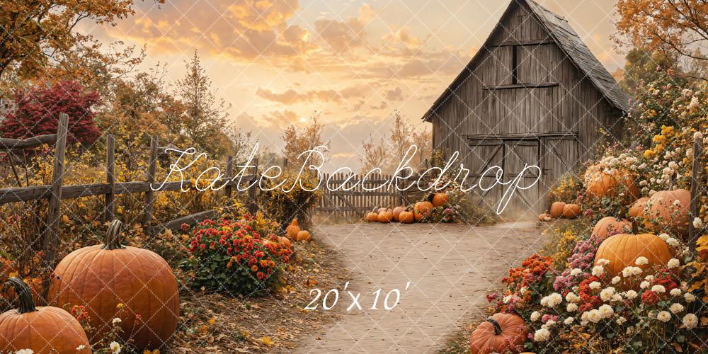 Kate Fall Barn Pumpkin Path Backdrop Designed by Emetselch