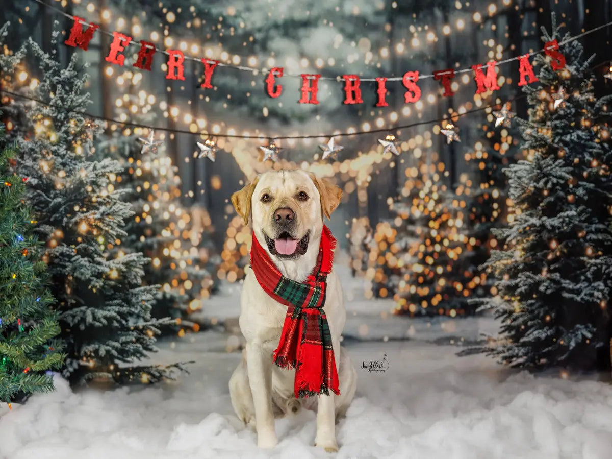 Kate Winter Christmas Outdoor Forest White Snowland Backdrop Designed by Emetselch