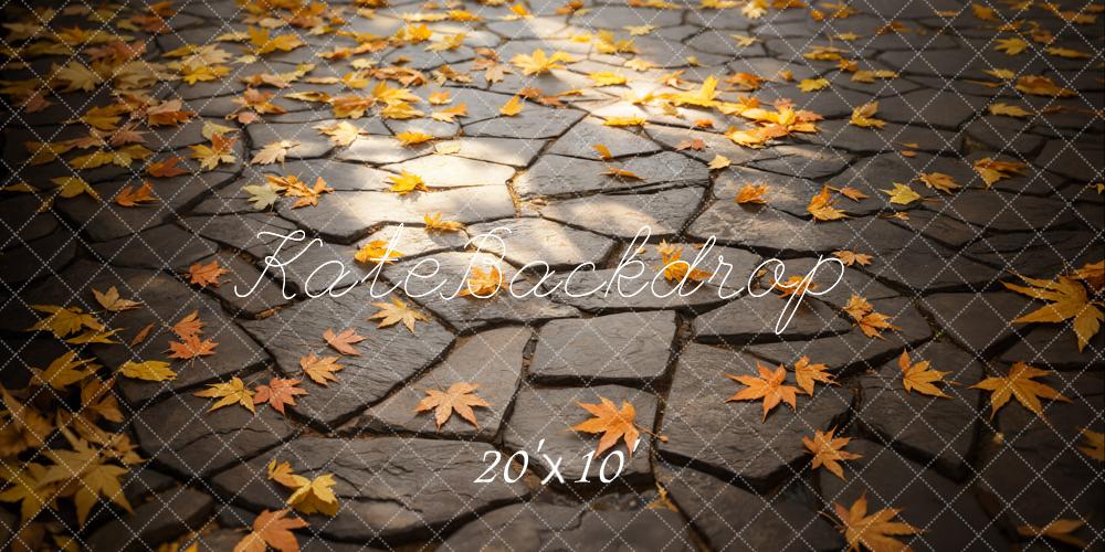 Kate Fall Leaves Stone Path Floor Backdrop Designed by Emetselch