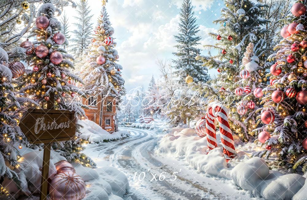 Kate Christmas Outdoor Forest Path Backdrop Designed by Emetselch