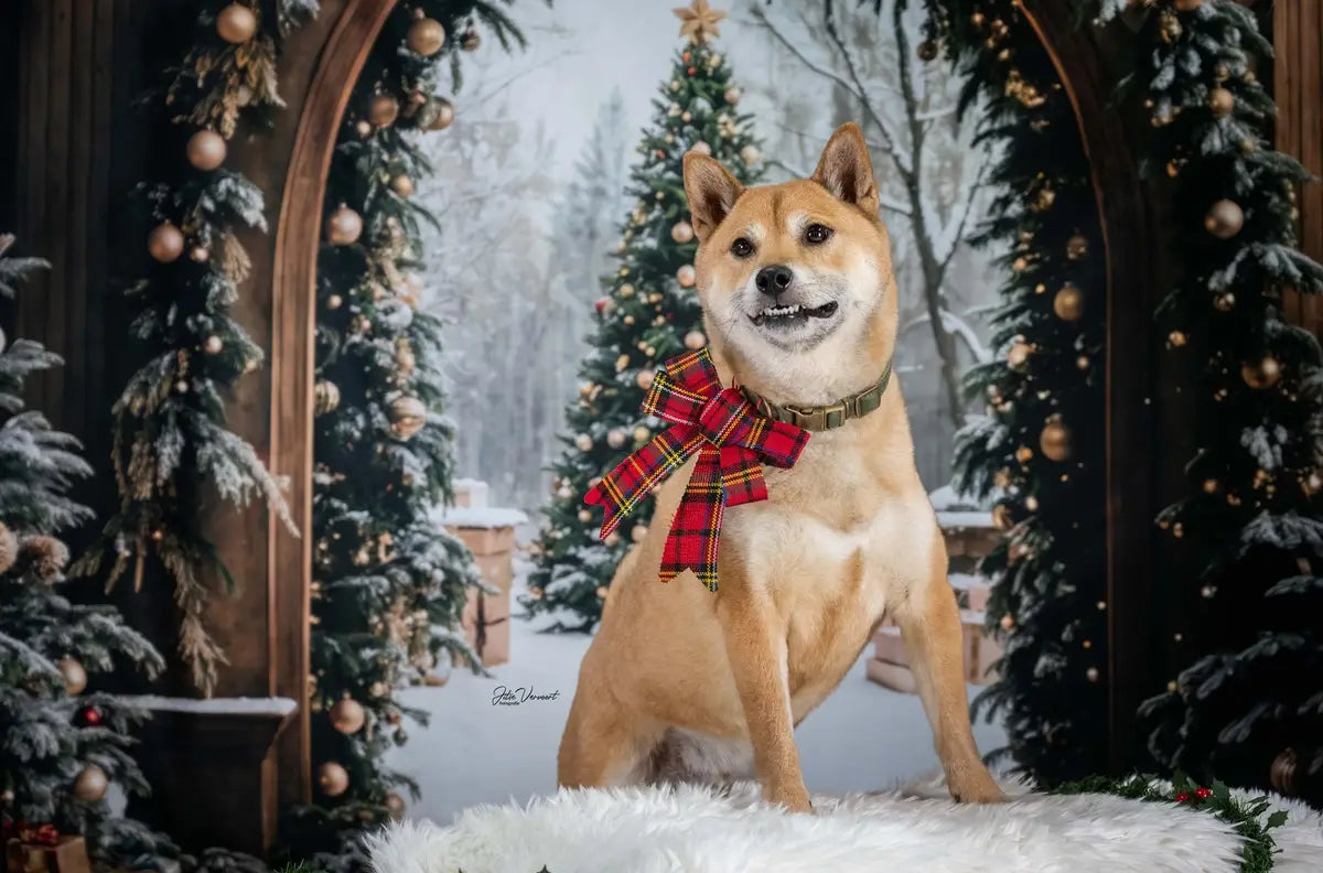 Kate Christmas Tree Retro Archway Backdrop Designed by Emetselch