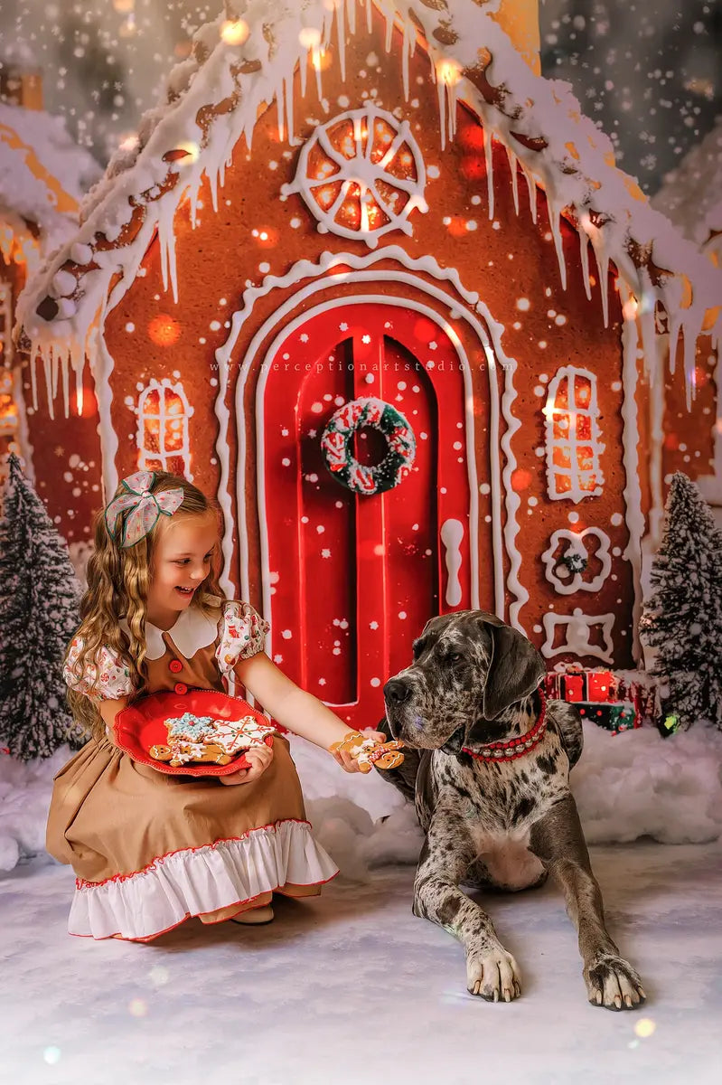 Kate Christmas Gingerbread Houses Snowy Backdrop Designed by Emetselch