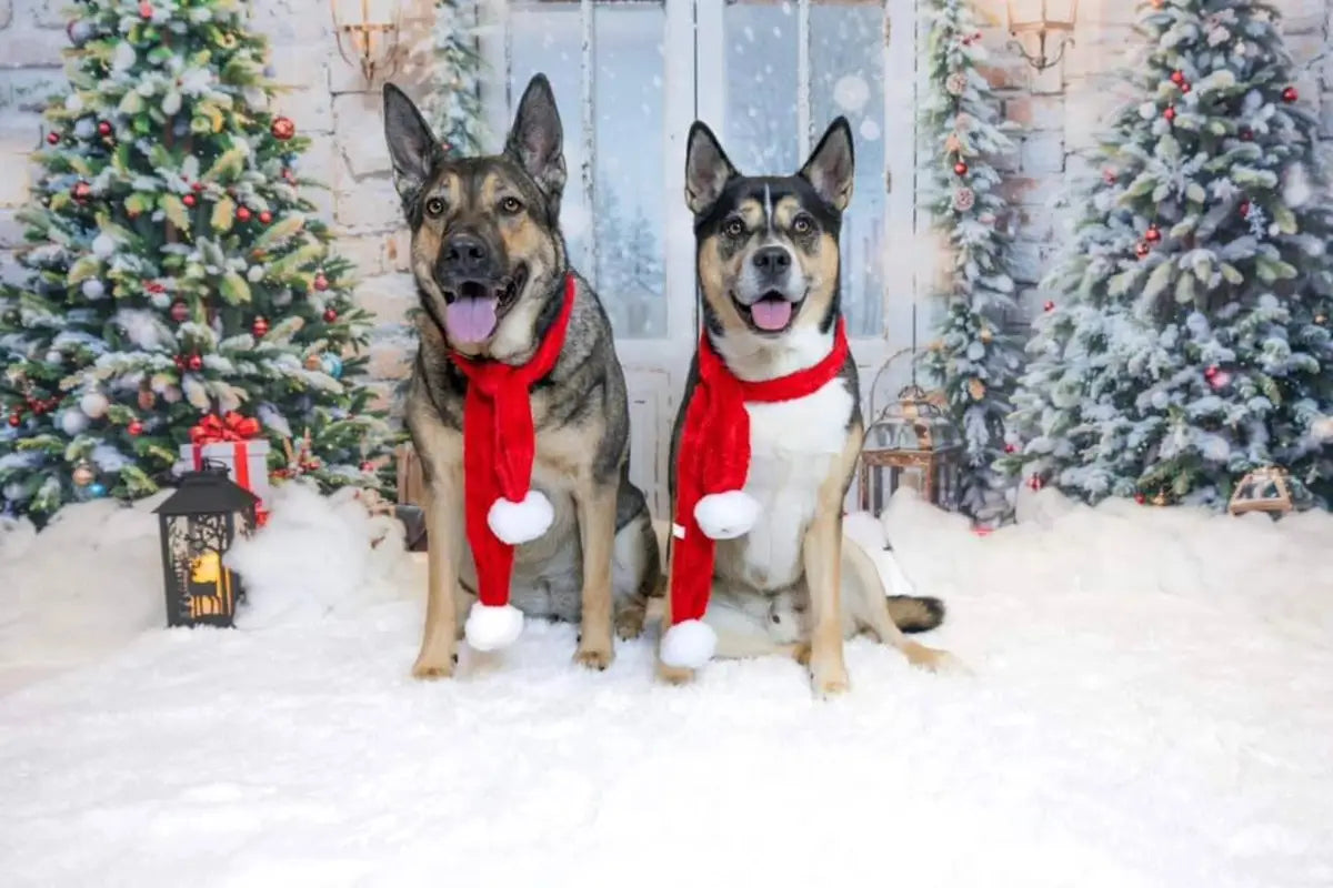 Kate Christmas Door Tree Snow Backdrop Designed by Emetselch