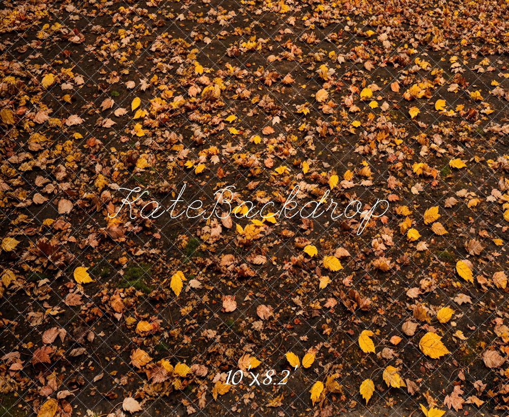 Kate Fall Fallen Leaves Floor Backdrop Designed by Emetselch