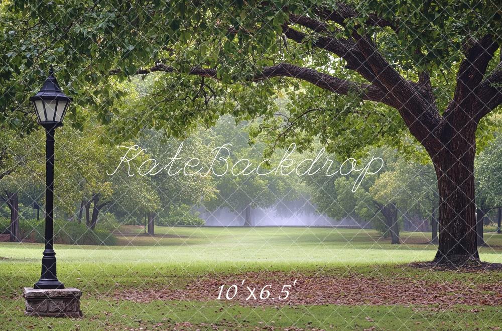 Kate Fine Art Park Fall Lamp Post Backdrop Designed by Mini MakeBelieve