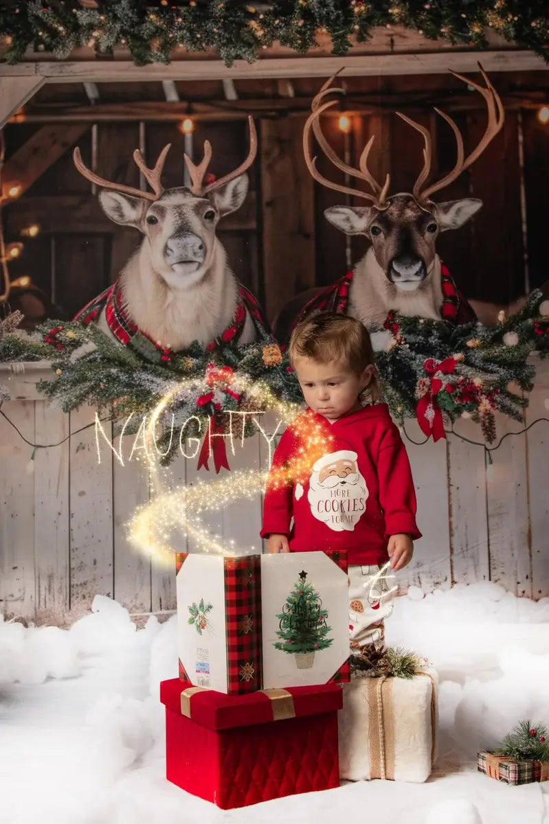 Kate Christmas White Reindeer Stall Backdrop Designed by Mini MakeBelieve