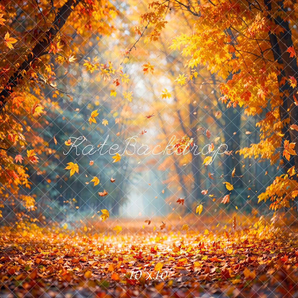 Herfst Esdoornbos met Gevallen Bladeren Foto Achtergrond Ontworpen door Emetselch