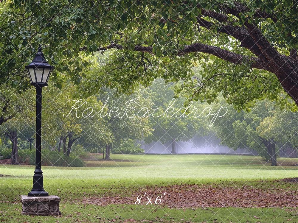 Kate Fine Art Park Fall Lamp Post Backdrop Designed by Mini MakeBelieve