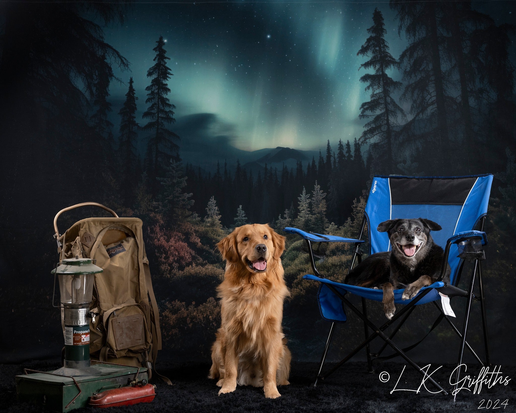 Kate Pet Forest with Aurora Backdrop Designed by Mandy Ringe Photography