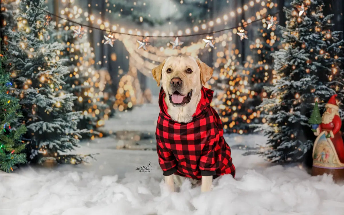 Kate Winter Christmas Outdoor Forest White Snowland Backdrop Designed by Emetselch