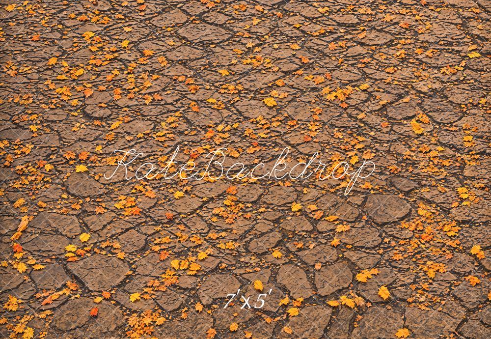 Fall Fallen Leaves On Ground Foto Achtergrond Designed by Emetselch