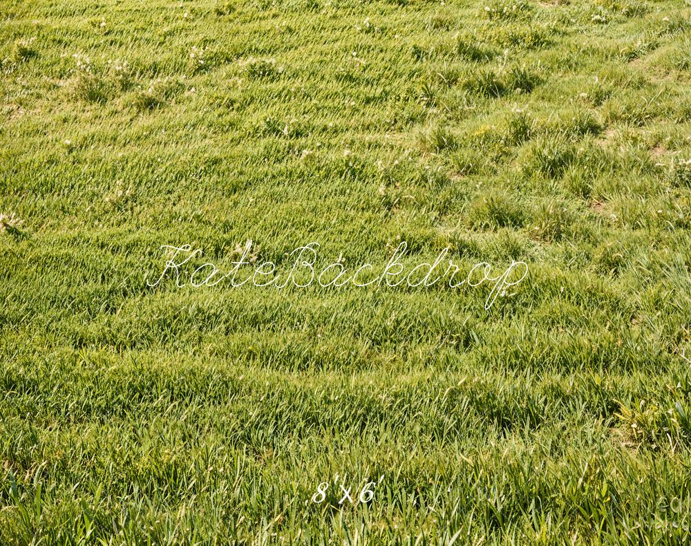 Kate Spring Green Grass Field Floor Backdrop Designed by Emetselch