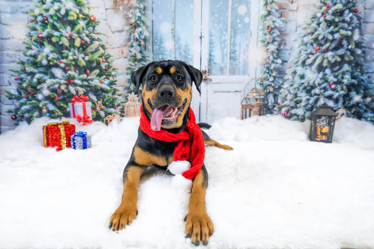 Kate Christmas Door Tree Snow Backdrop Designed by Emetselch