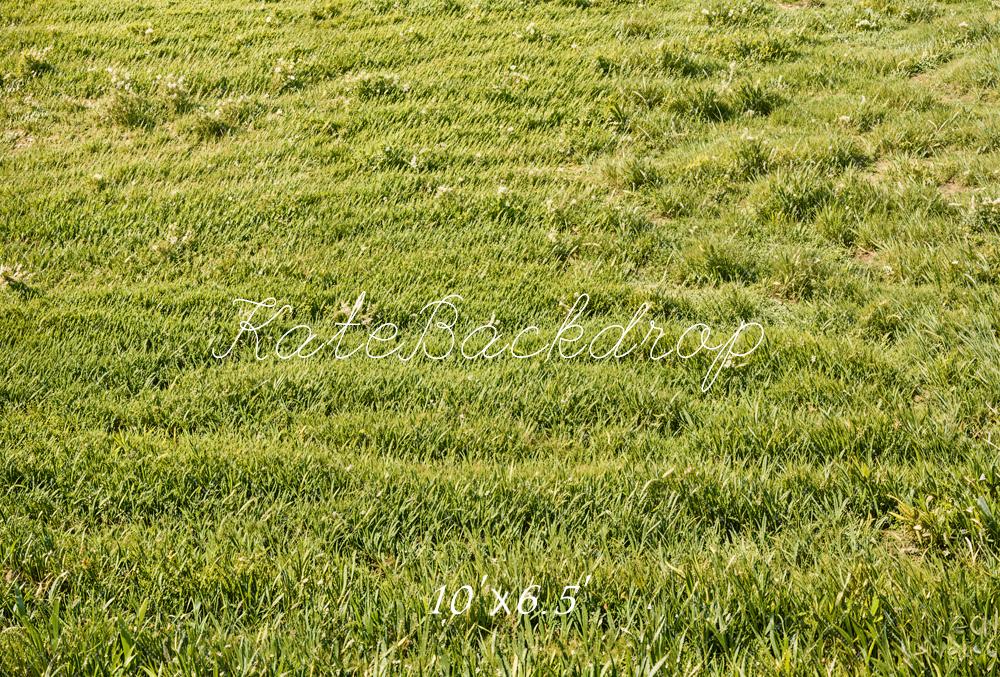 Kate Spring Green Grass Field Floor Backdrop Designed by Emetselch