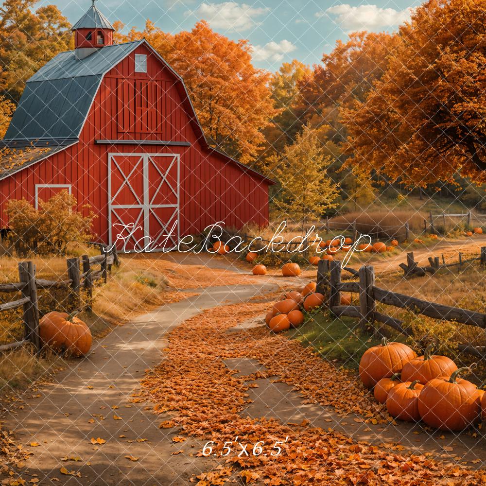 Kate Fall Sunflower Pumpkin Red House Forest Path Backdrop Designed by Emetselch