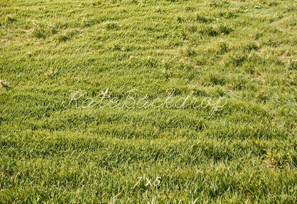 Kate Spring Green Grass Field Floor Backdrop Designed by Emetselch