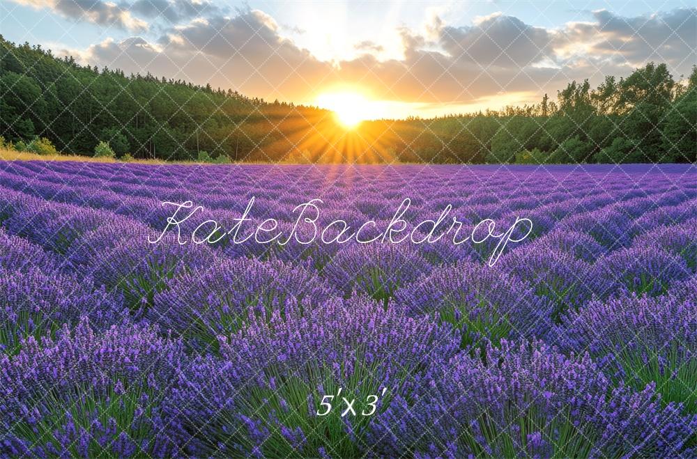 Kate Lavender Field Sunrise Backdrop Designed by Mini MakeBelieve