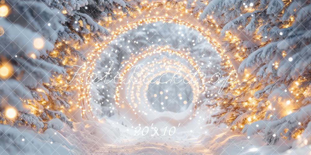 Kate Winter Snow Wonderland Lights Tunnel Backdrop Designed by Emetselch