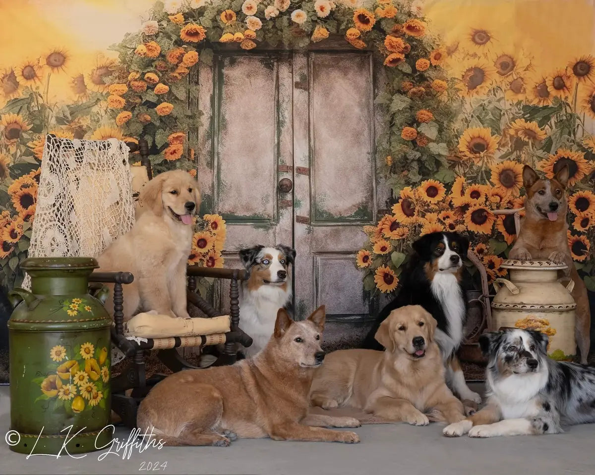 Kate Pet Autumn Sunflower Door Backdrop for Photography