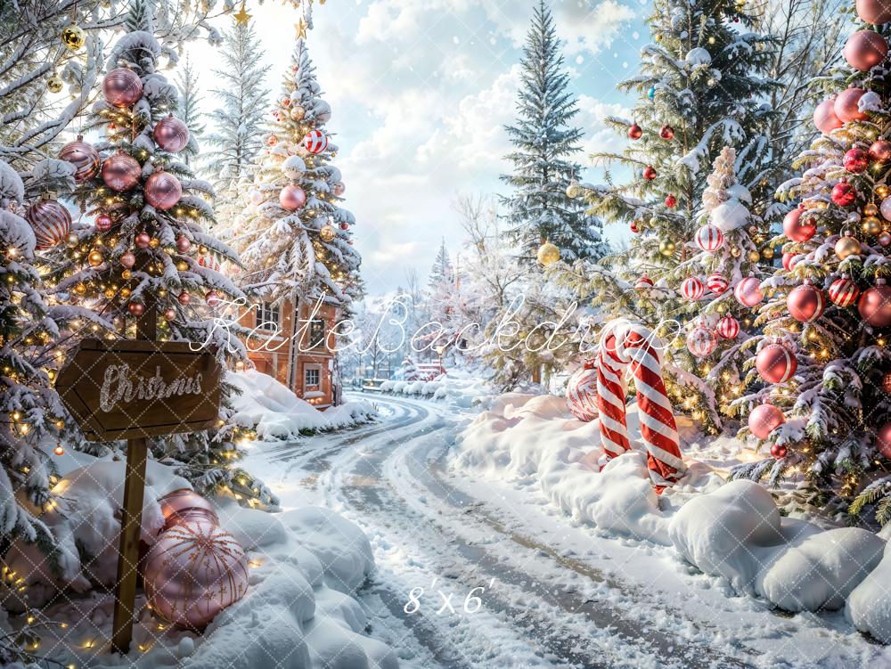 Kate Christmas Outdoor Forest Path Backdrop Designed by Emetselch