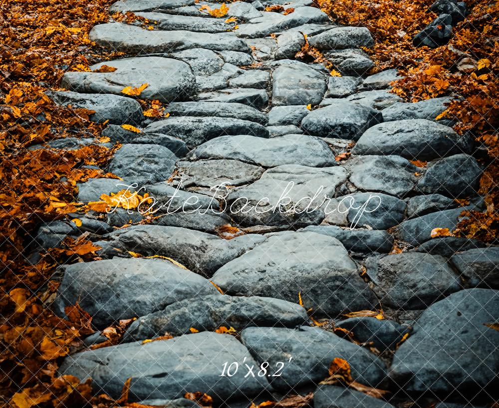 Kate Fall Cobblestone Path Backdrop Designed by Emetselch