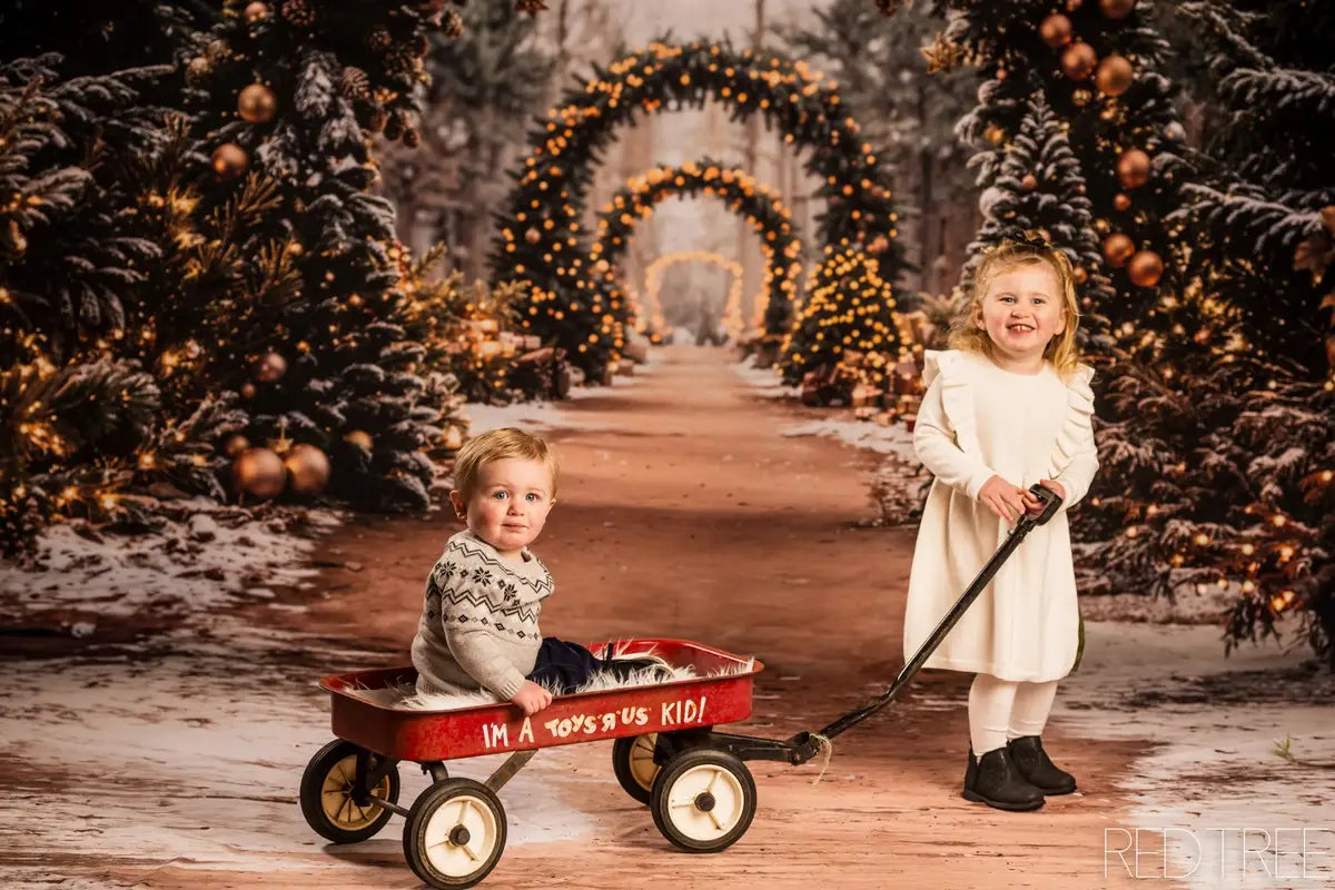 Kate Christmas Tree Archway Forest Backdrop Designed by Emetselch