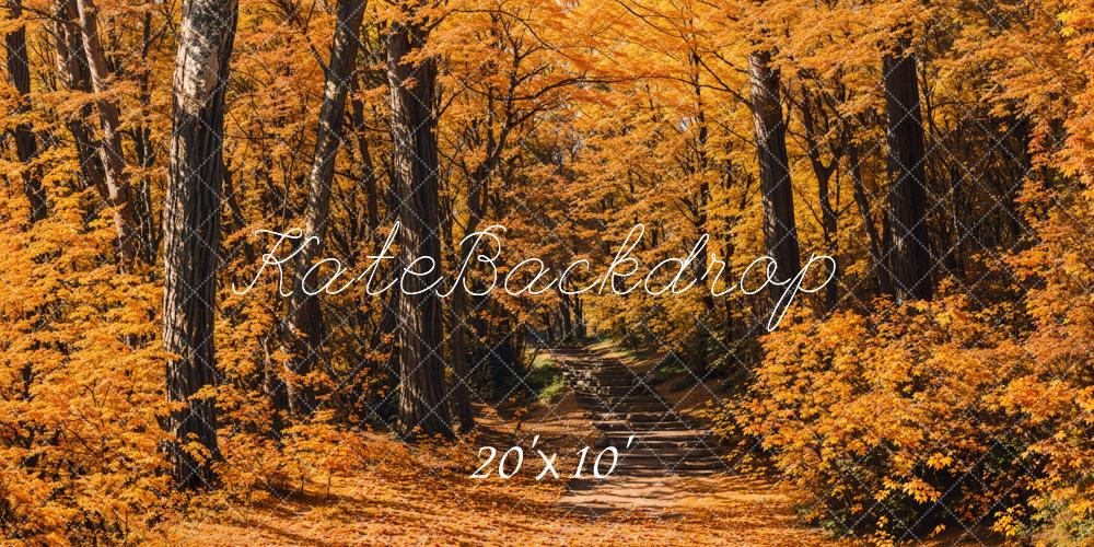 Kate Fall Forest Path Backdrop Designed by Emetselch