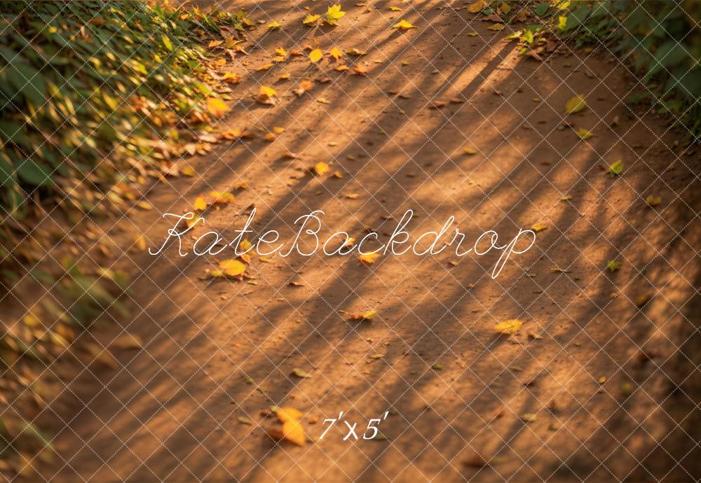 Kate Fall Path Fallen Leaves Sunlight Floor Backdrop Designed by Emetselch