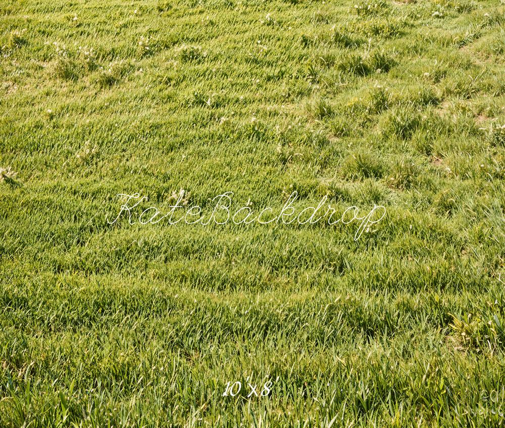 Kate Spring Green Grass Field Floor Backdrop Designed by Emetselch